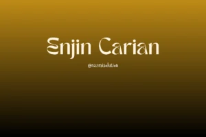 apa itu enjin carian